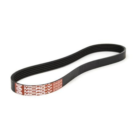 GATES Stretch Fit Belt 5PK804