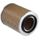 RYCO AIR FILTER - HOLDEN ISUZU