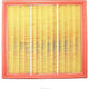 RYCO AIR FILTER - FORD/LDV A1287