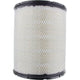 RYCO AIR FILTER - ISUZU/MAZDA/NISSAN A1377