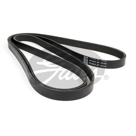 Gates 6Pk2445 / K060962 Mv At 6PK2445
