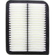 RYCO AIR FILTER - FORD FALCON XR6/XR8 A1575