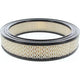 RYCO AIR FILTER - AUDI/SKODA/VW/HOLDEN A142
