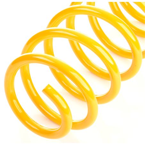 Coil Spring Each KTRS-95