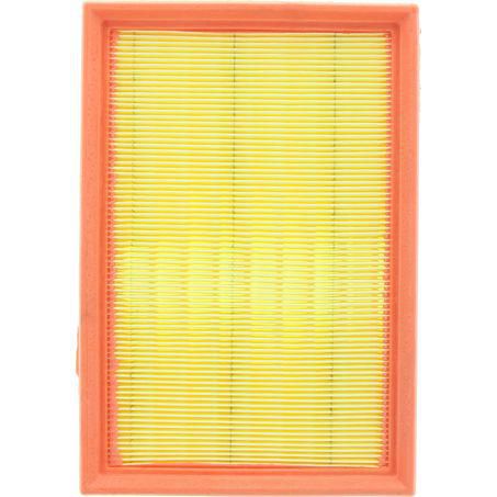 RYCO AIR FILTER - CITROEN/PEUGEOT A1685