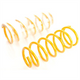KING SPRINGS Coil Spring Each