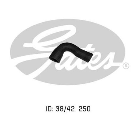 GATES RADIATOR HOSE UPPER 05-0163