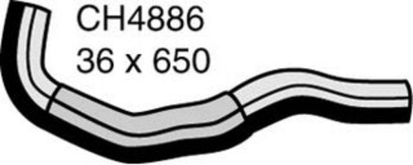 MACKAY BOTTOM HOSE LEX GS300