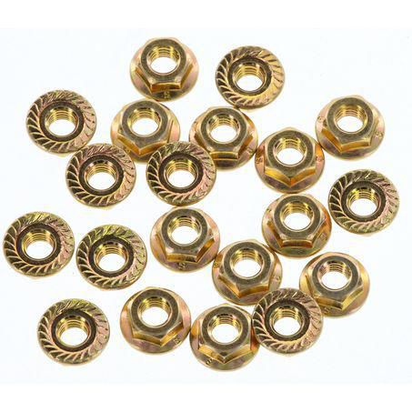 CHAMPION AUTO PARTS Champion Flange Nut Pack M6 x 1.00 FBM159