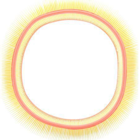 RYCO AIR FILTER - MERCEDES BENZ (FLOPPY)