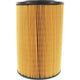 RYCO AIR FILTER - FORD/MAZDA A1447