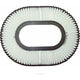 RYCO AIR FILTER - DAIHATSU/MITSUBISHI A1283