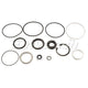 DRIVETECH Steering Box Seal Kit