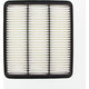 RYCO AIR FILTER - HOLDEN EPICA A1586