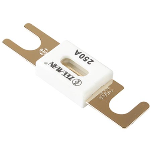 Anl Fuse 250A 1 Pce 53925