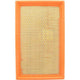 RYCO AIR FILTER - FORD EXPLORER 4.0L A1498