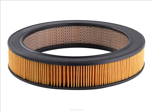 RYCO AIR FILTER - HOLDEN/PONTIAC A329