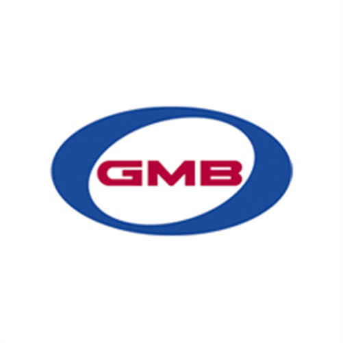 GMB Premium Water Pump Honda Civic/Stream R18A