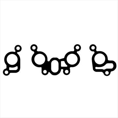 PERMASEAL MANIFOLD SET INLET HA366