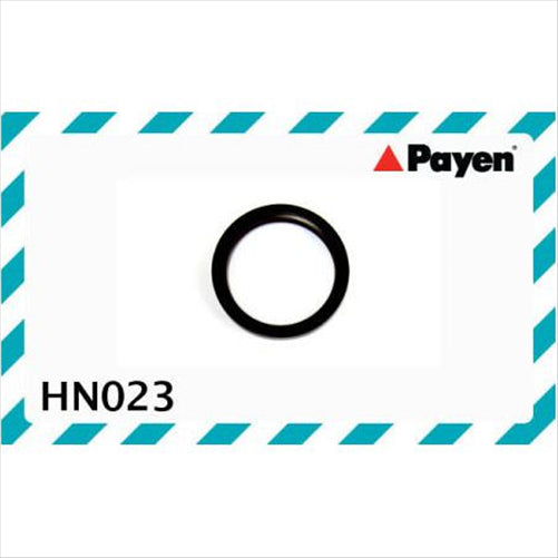 ACL REAR MAIN SEAL HOLDEN 3.8 V6 92- HN023