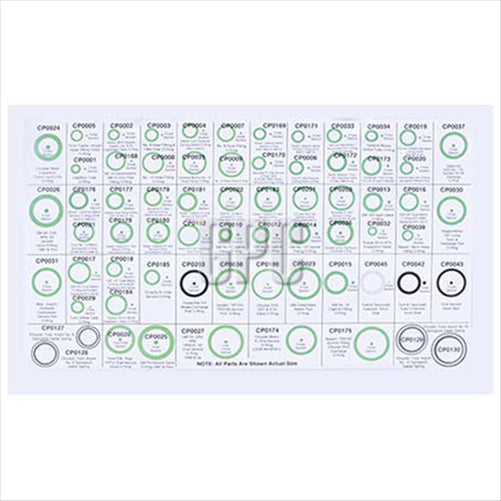OEX Master O-ring And Seal Kit 670 Pieces