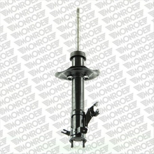 Suspension Strut Original G16298