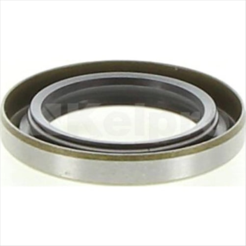 Oil Seal 97173