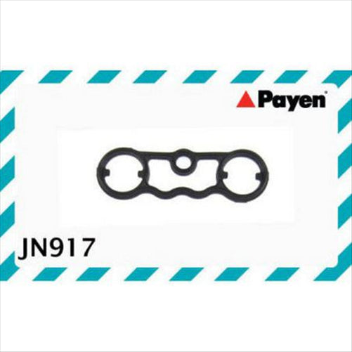 ACL VALVE COVER GASKET JN917