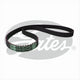 GATES CURVLINEAR TIMING BELT T179