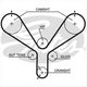 GATES CURVLINEAR TIMING BELT T190