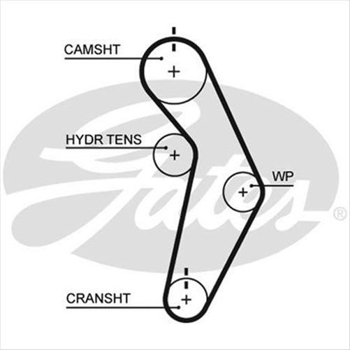 GATES CURVLINEAR TIMING BELT T245