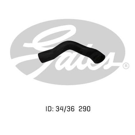 Gates Radiator Hose Lower 05-0245