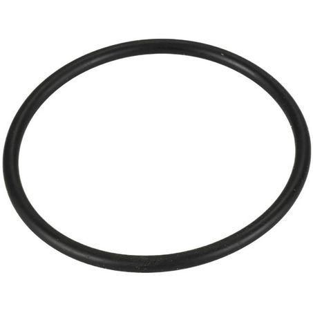 Donaldson O Ring P160016