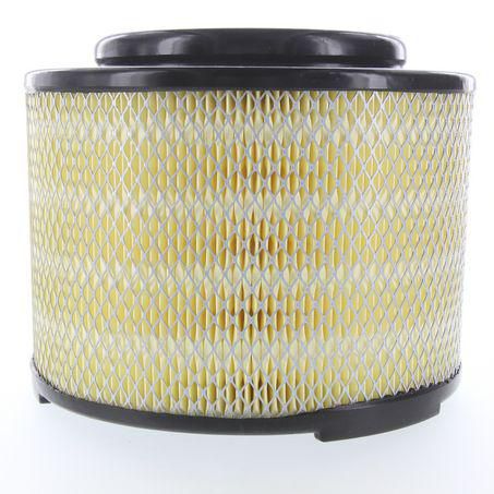 Proselect Air Filter PSA541 A1541