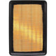 RYCO AIR FILTER - HYUNDAI/KIA A1446