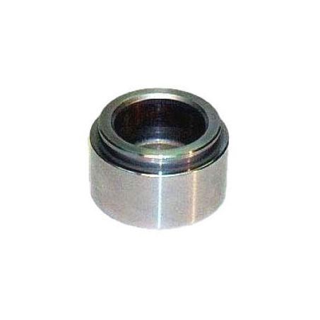 RAYBES CALIPER PISTON - FRONT 2 D48.03 H29.05