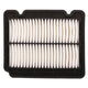RYCO AIR FILTER - HOLDEN/DAEWOO A1521