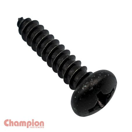 CHAMPION Self Tapping Screws 10G x 3/4in.