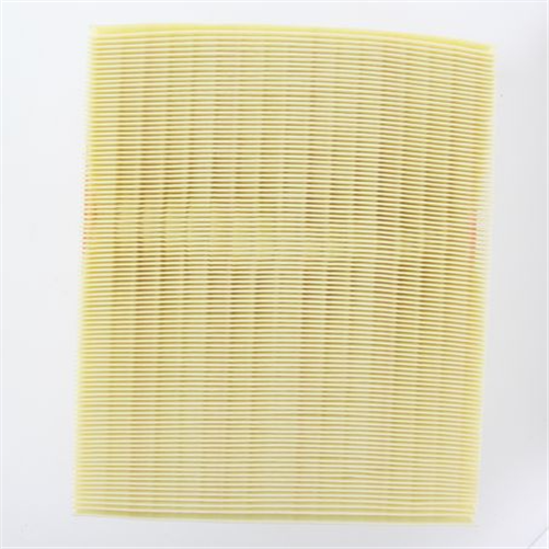 PROSELECT Air Filter