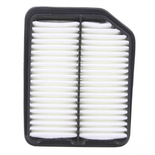 PROSELECT Air Filter