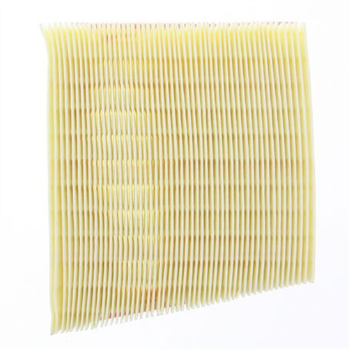 PROSELECT Air Filter