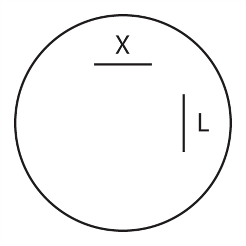 Flasher Relay 24V Electronic 173W (Max) - 2 Terminals P242
