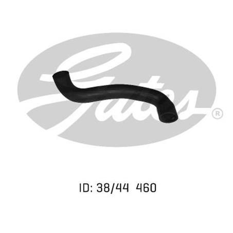 Gates Radiator Hose Lower 05-0423