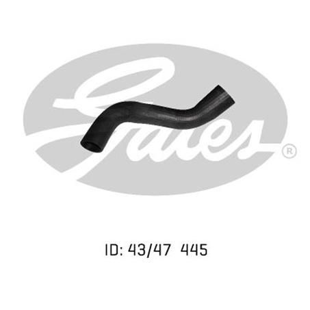 Gates Radiator Hose Lower 05-0275