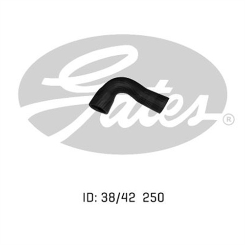 GATES RADIATOR HOSE UPPER 05-0163