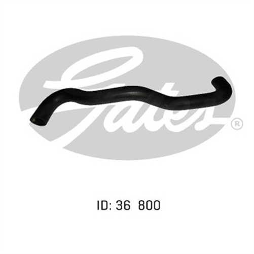 GATES RADIATOR HOSE LOWER 05-0897