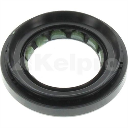 Oil Seal