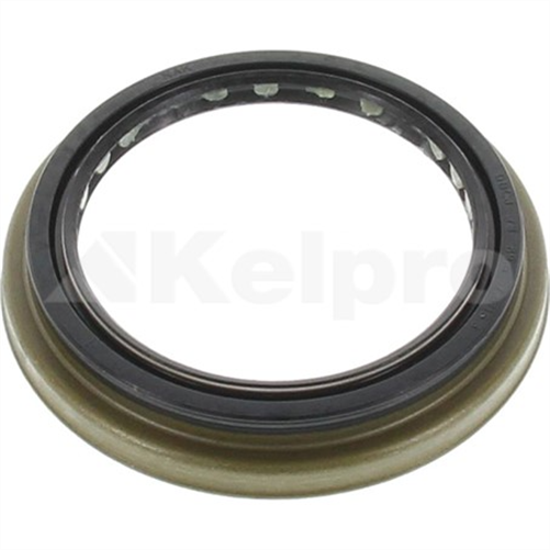 Oil Seal