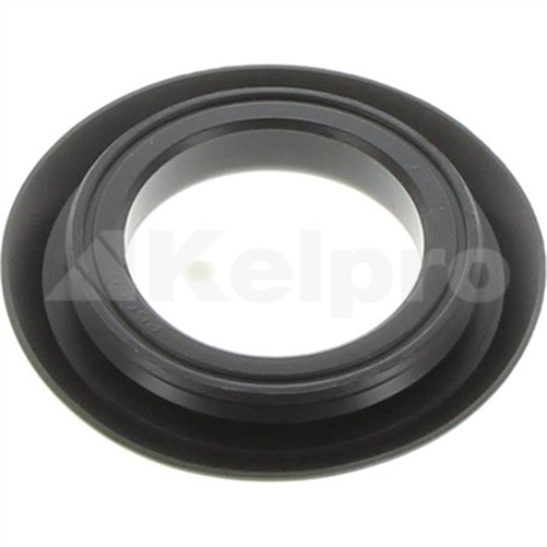 Oil Seal