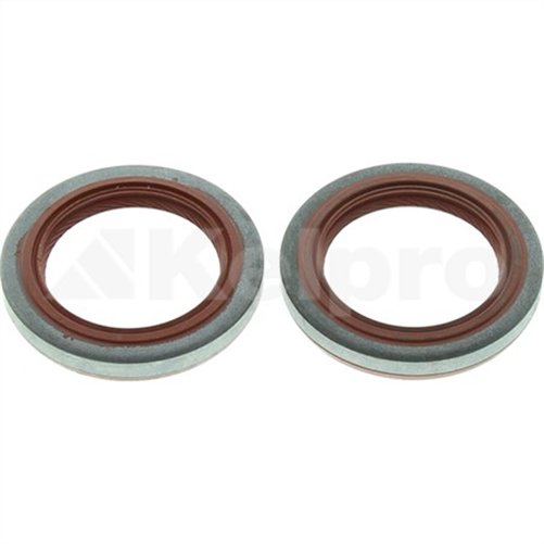 Oil Seal